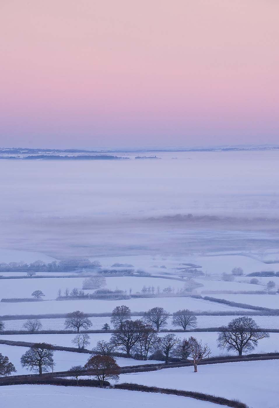 Bulbarrow-Hill-Dorset-Winter-Mist-Dawn-Photography