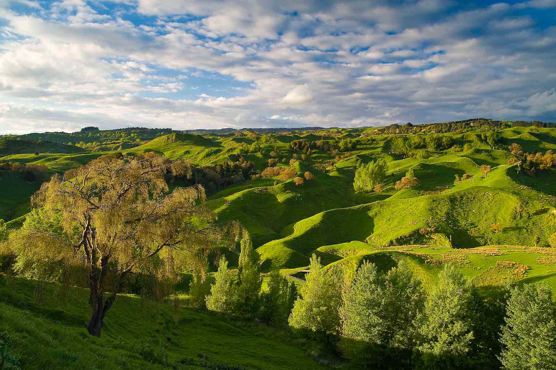 Landscape-Taihepe-North-Island-New-Zealand