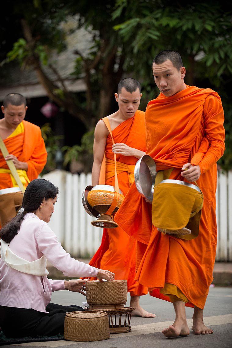 buddhist-monks-collecting-alms-morning-luang-prabang-laos-asia