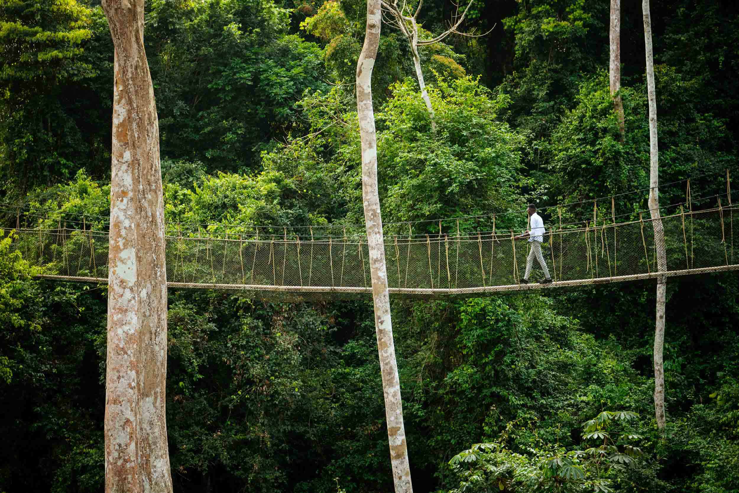 canopy-walkway-tropical-rainforest-kakum-national-park-ghana-africa