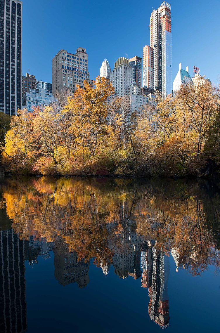 central-park-reflection-lake-autumn-manhattan-new-york-city-usa-america