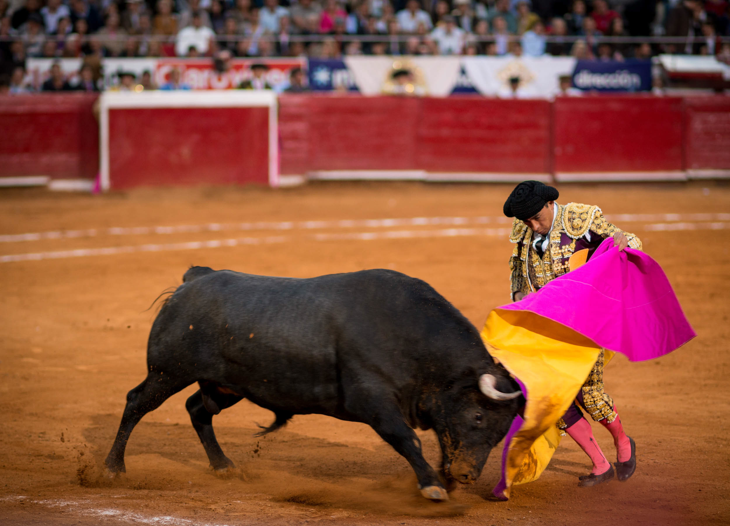 corrida-toros-mexican-bull-matador-bullfight-plaza-mexico-city