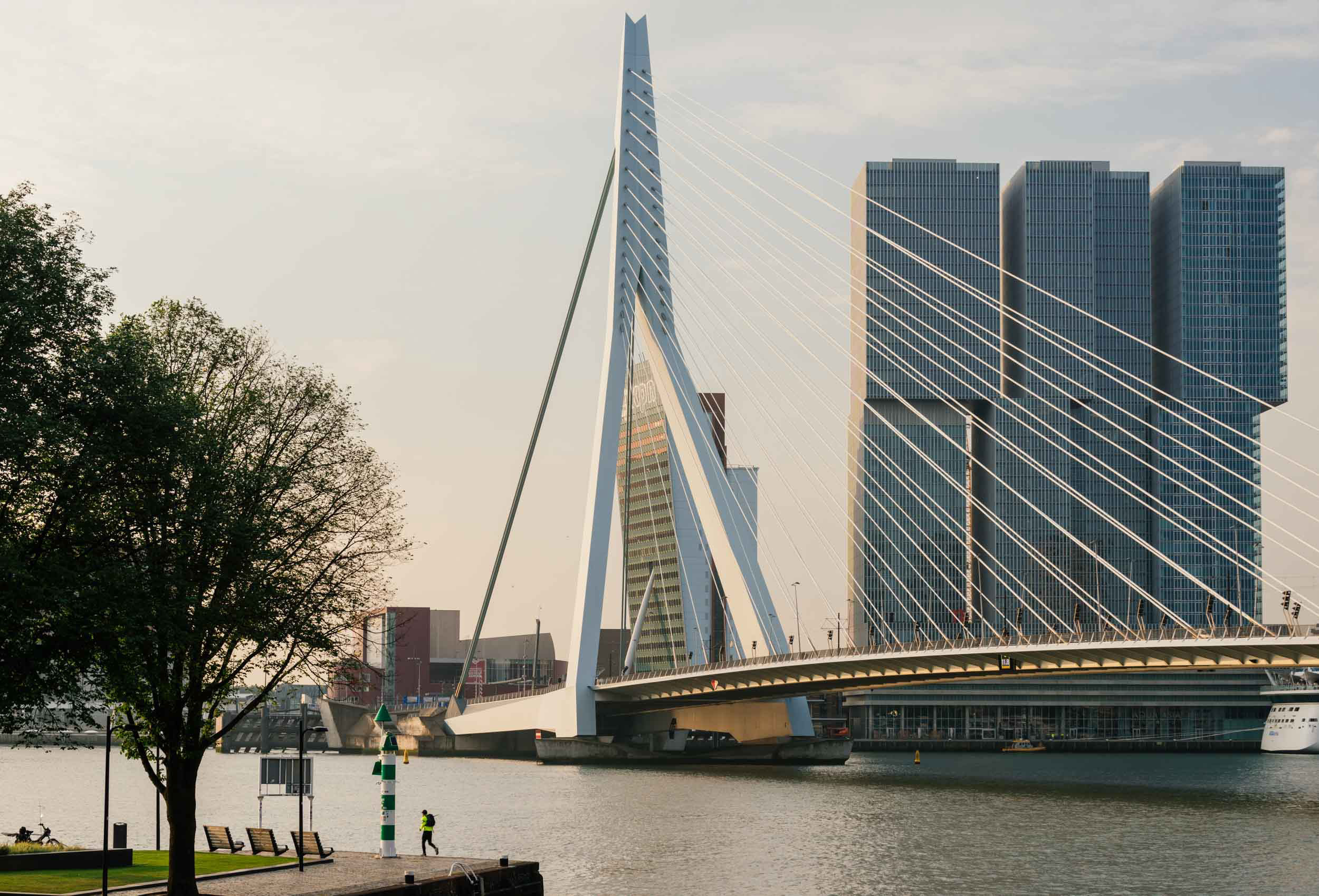 erasmus-bridge-wilhelminakade-rotterdam-netherlands-holland