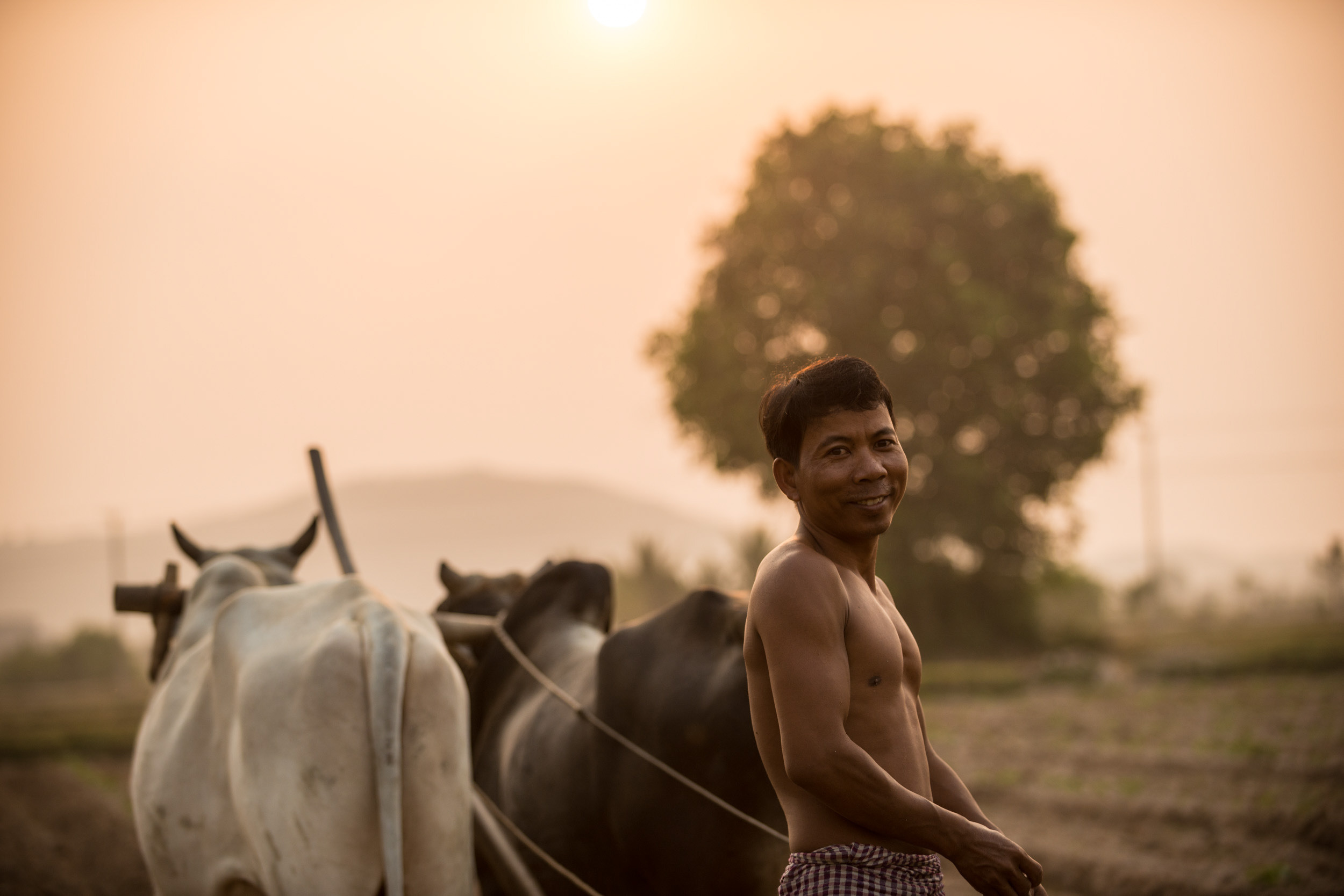 farmer-portrait-dawn-rural-plough-agriculture-kep-cambodia