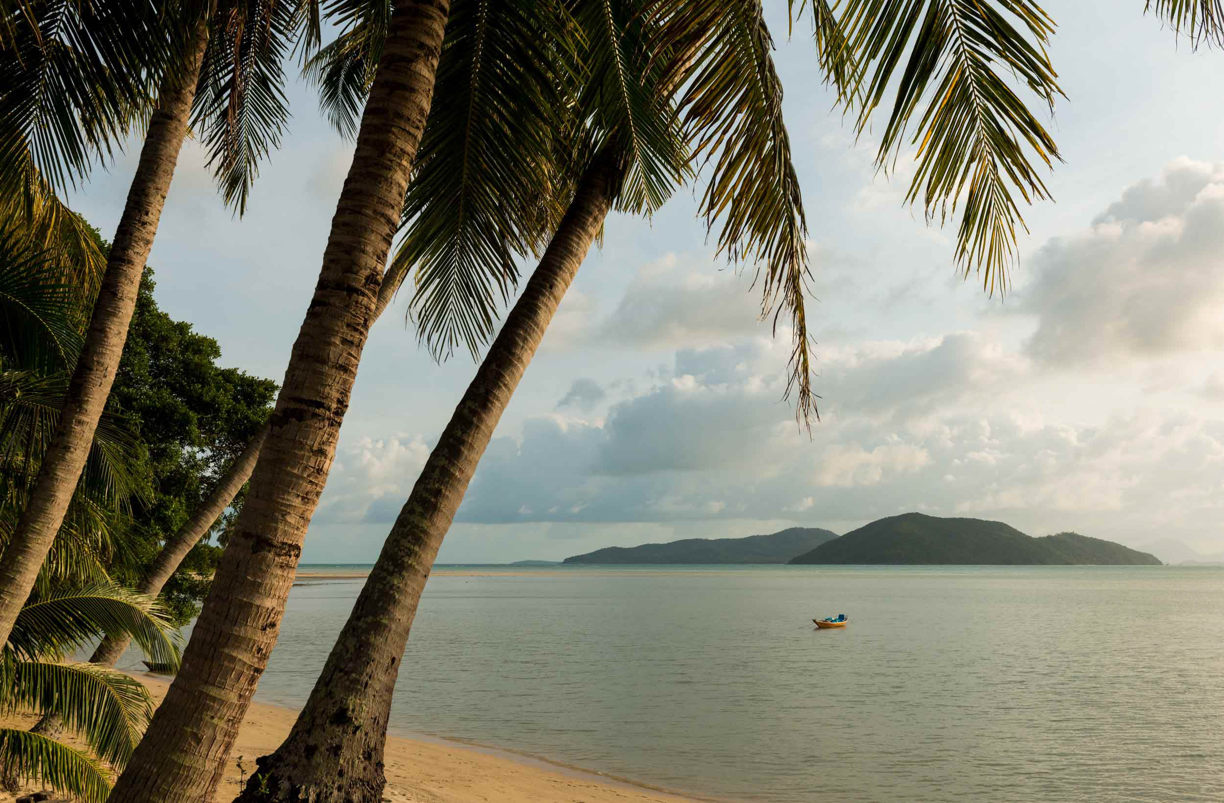 idyllic-beach-palm-trees-sand-nobody-ko-samui-thailand