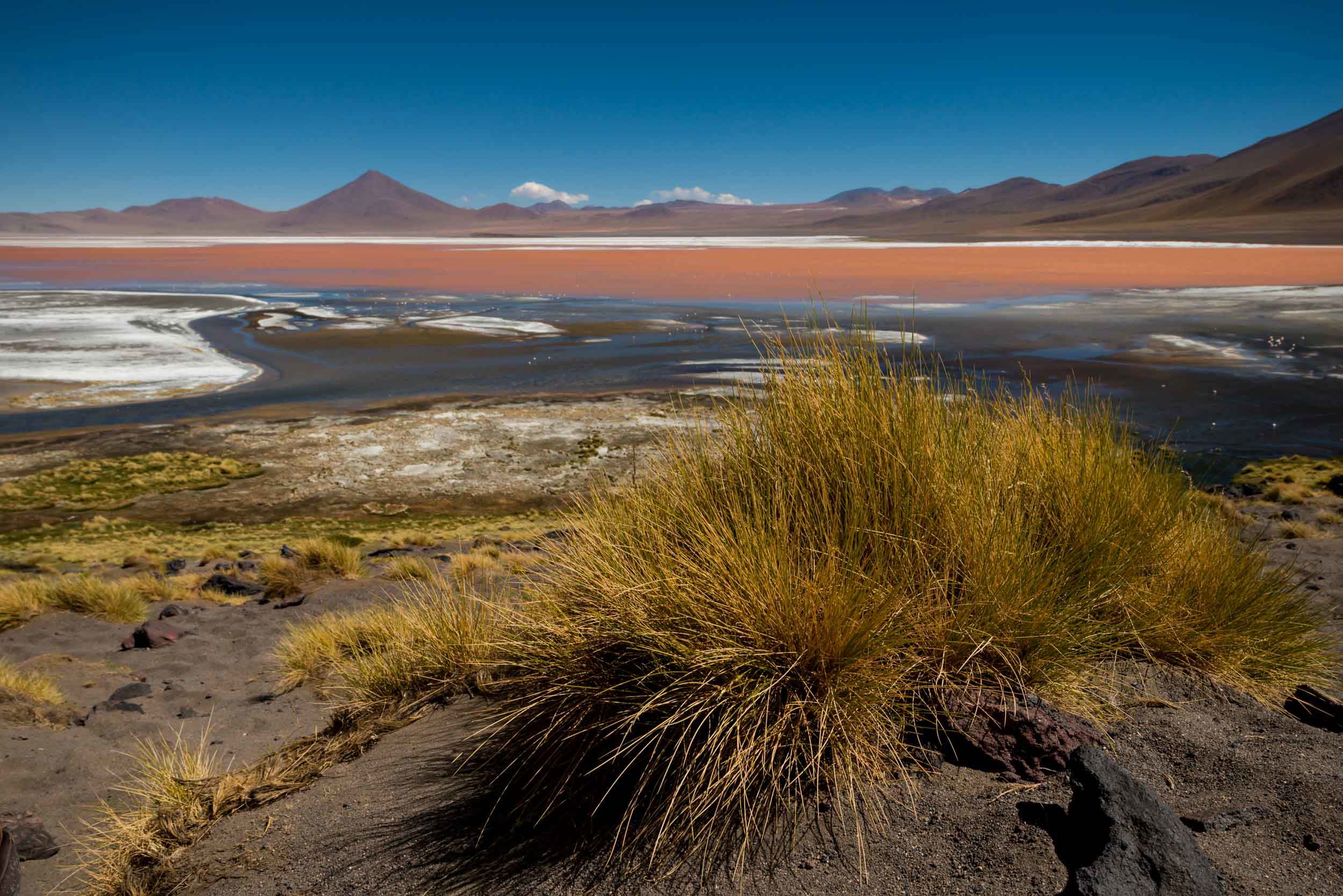 lake-colorada-avaroa-landscape-nobody-photography-bolivia-south-america