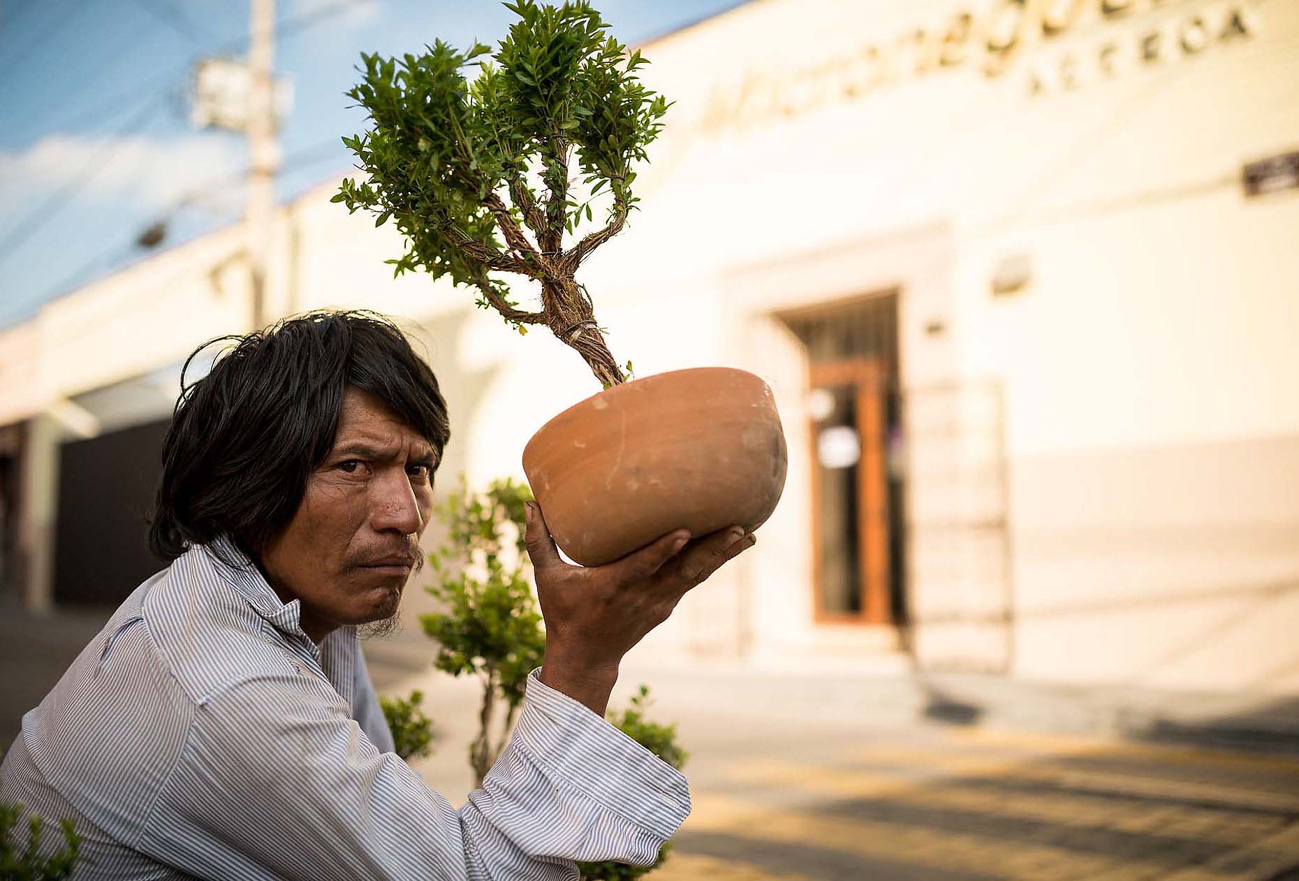 man-plant-street-photography-cholula-puebla-mexico-24