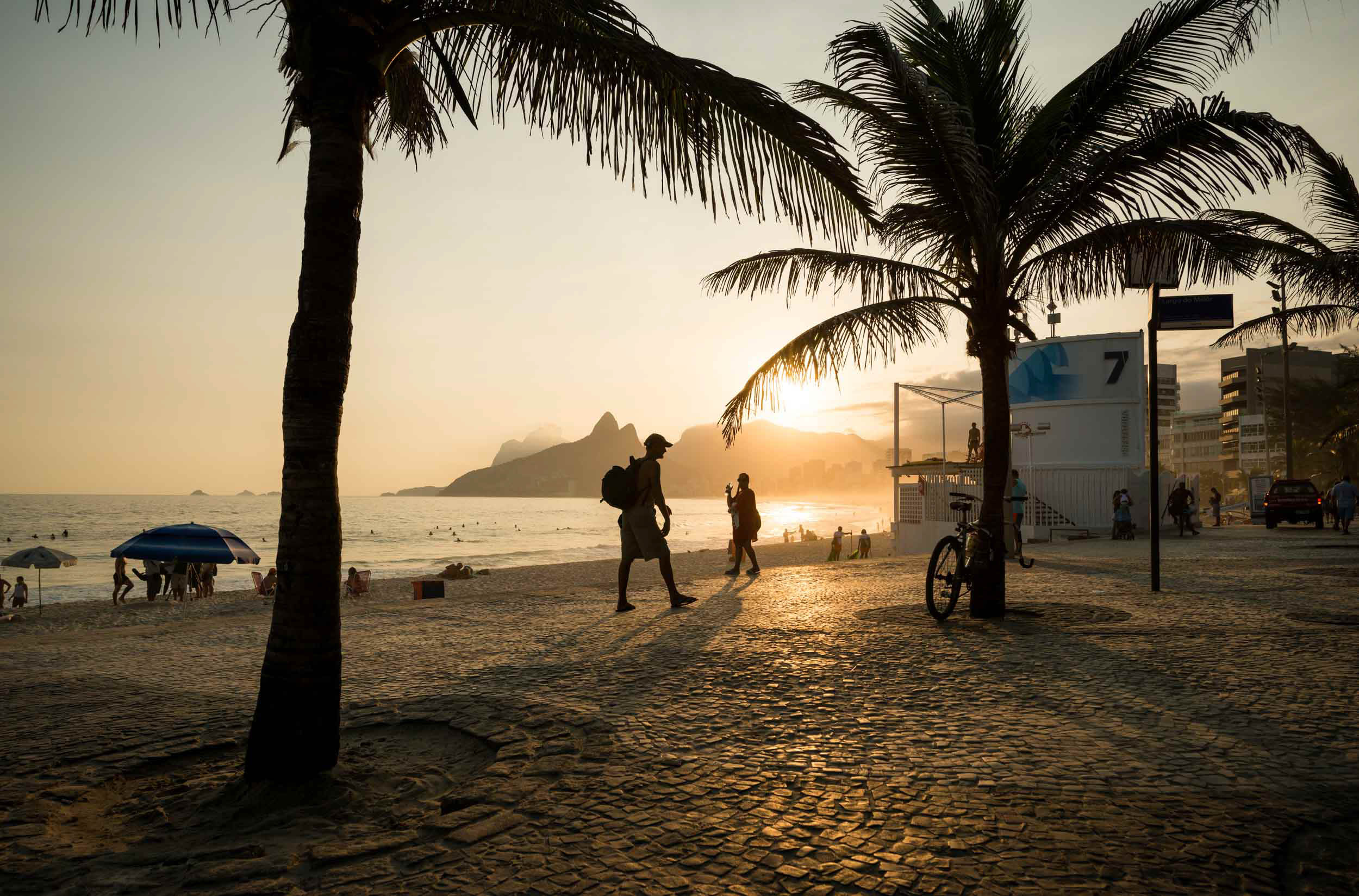 palm-tree-dusk-beach-nobody-rio-de-janeiro-brazil