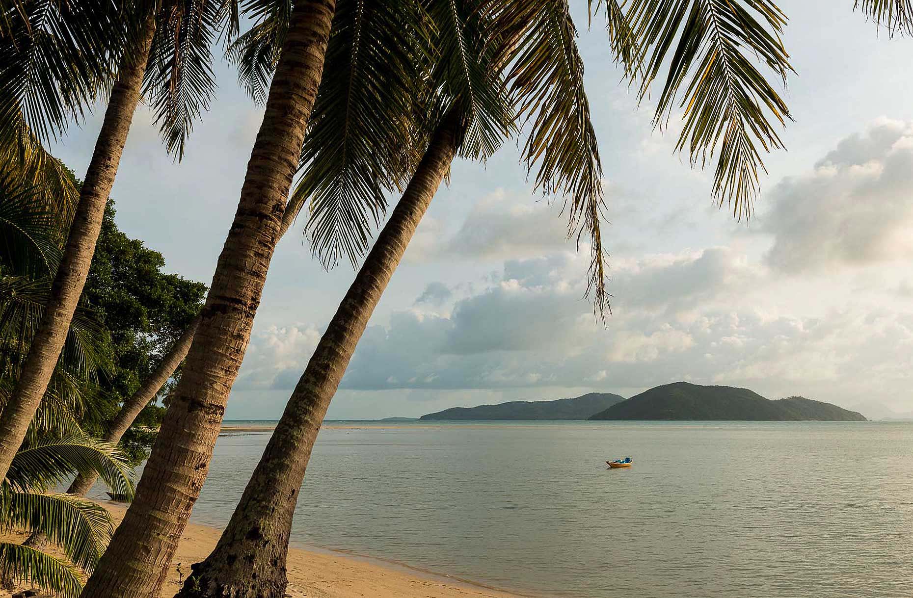 palm-tree-ko-samui-island-beach-surat-thani-thailand-idyllic-39