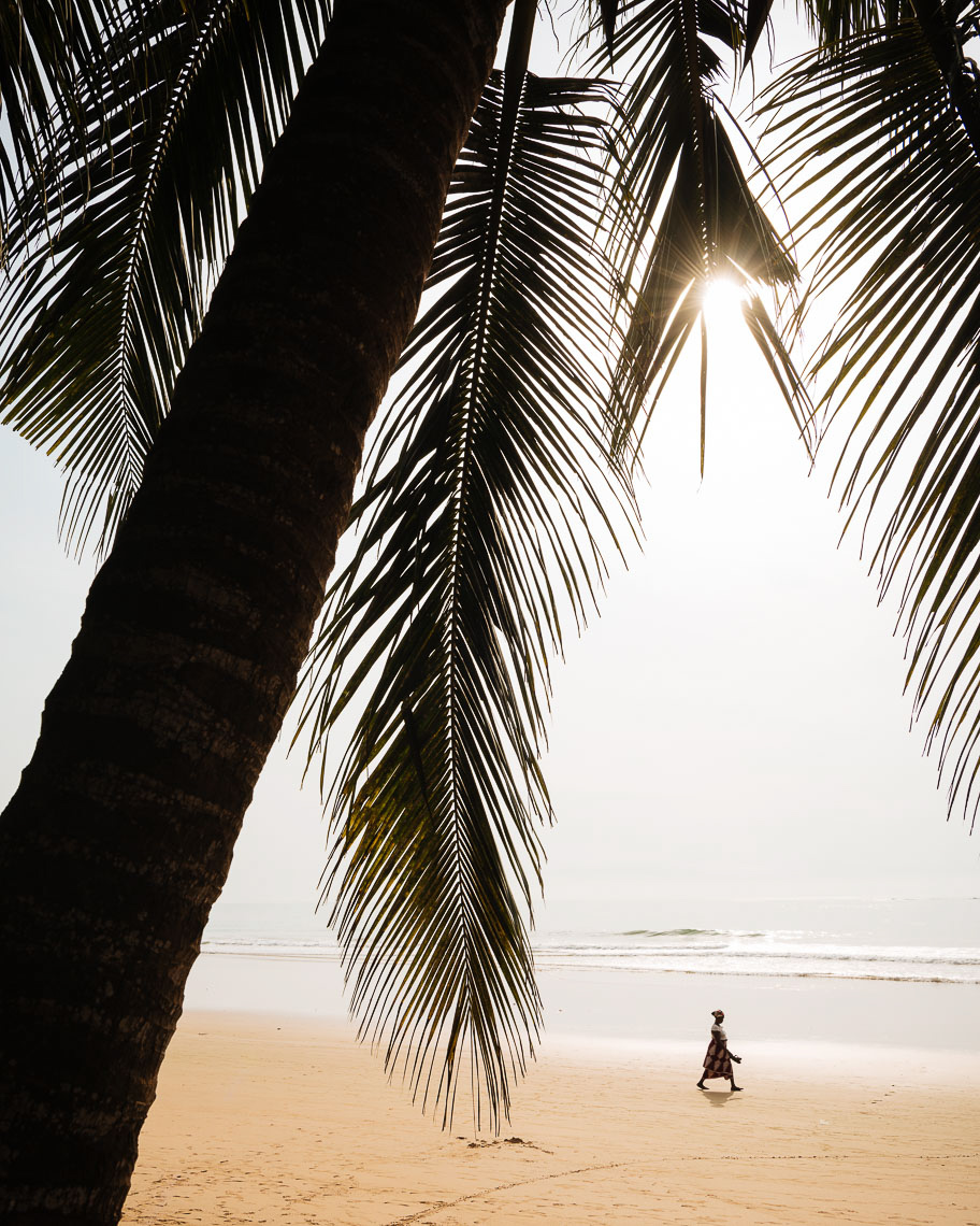 palm-tree-sun-beach-sand-busua-ghana-africa