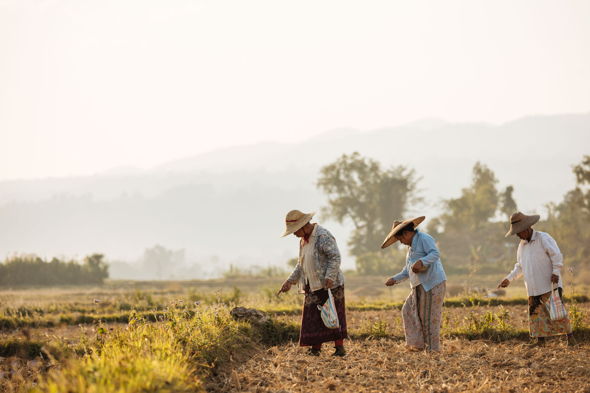 people-working-agriculture-fields-hispaw-myanmar