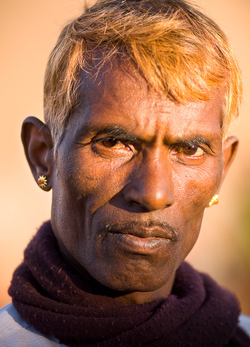 India, Rajasthan, No Region