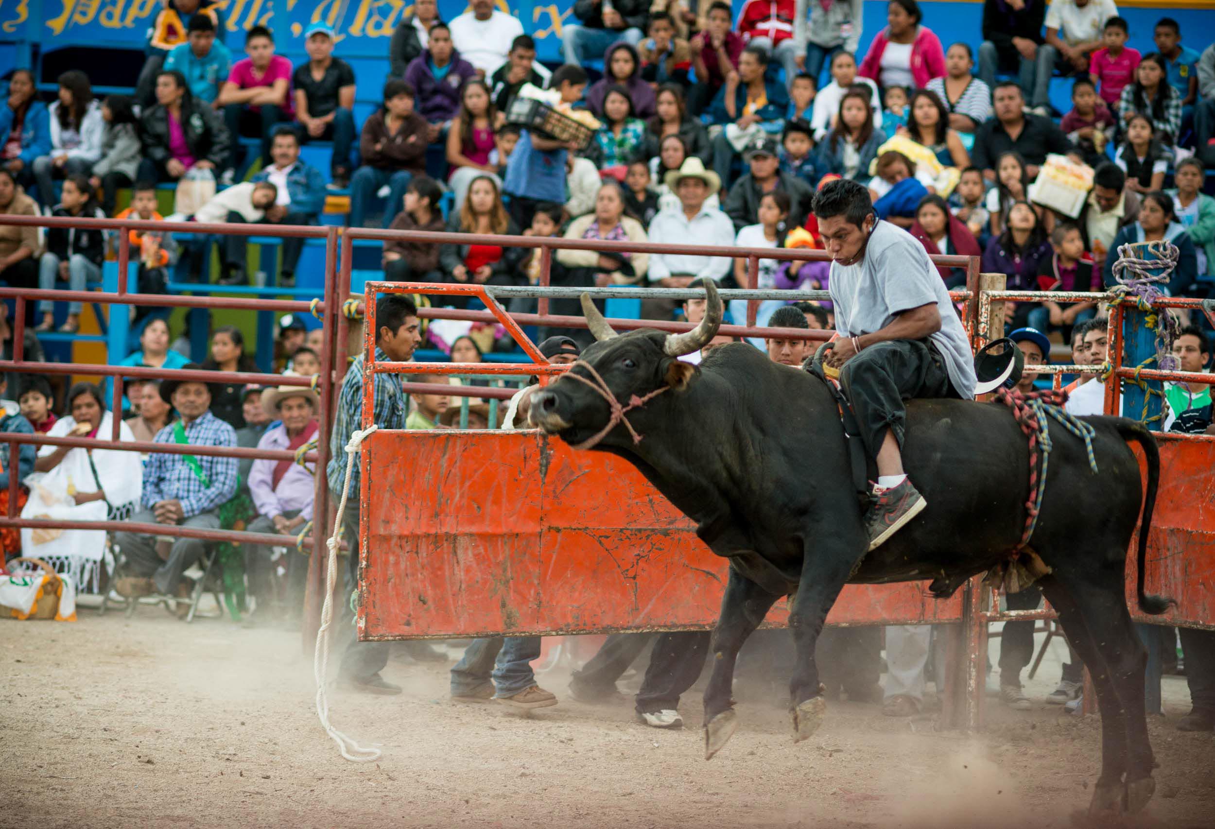 rodeo-santa-cruz-oaxaca-mexico-man-riding-bull