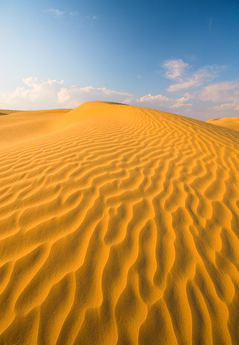 India, Rajasthan, Great Thar Desert