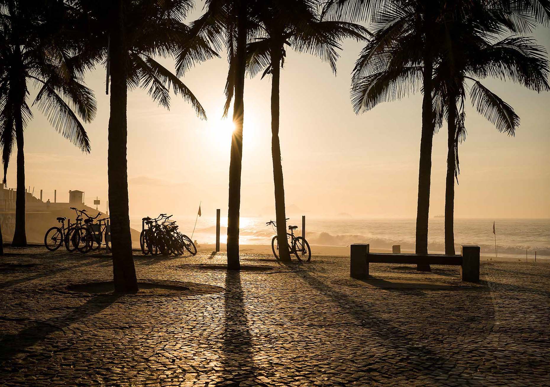 sunrise-beach-ipanema-rio-de-janeiro-brazil-palm-tree-39