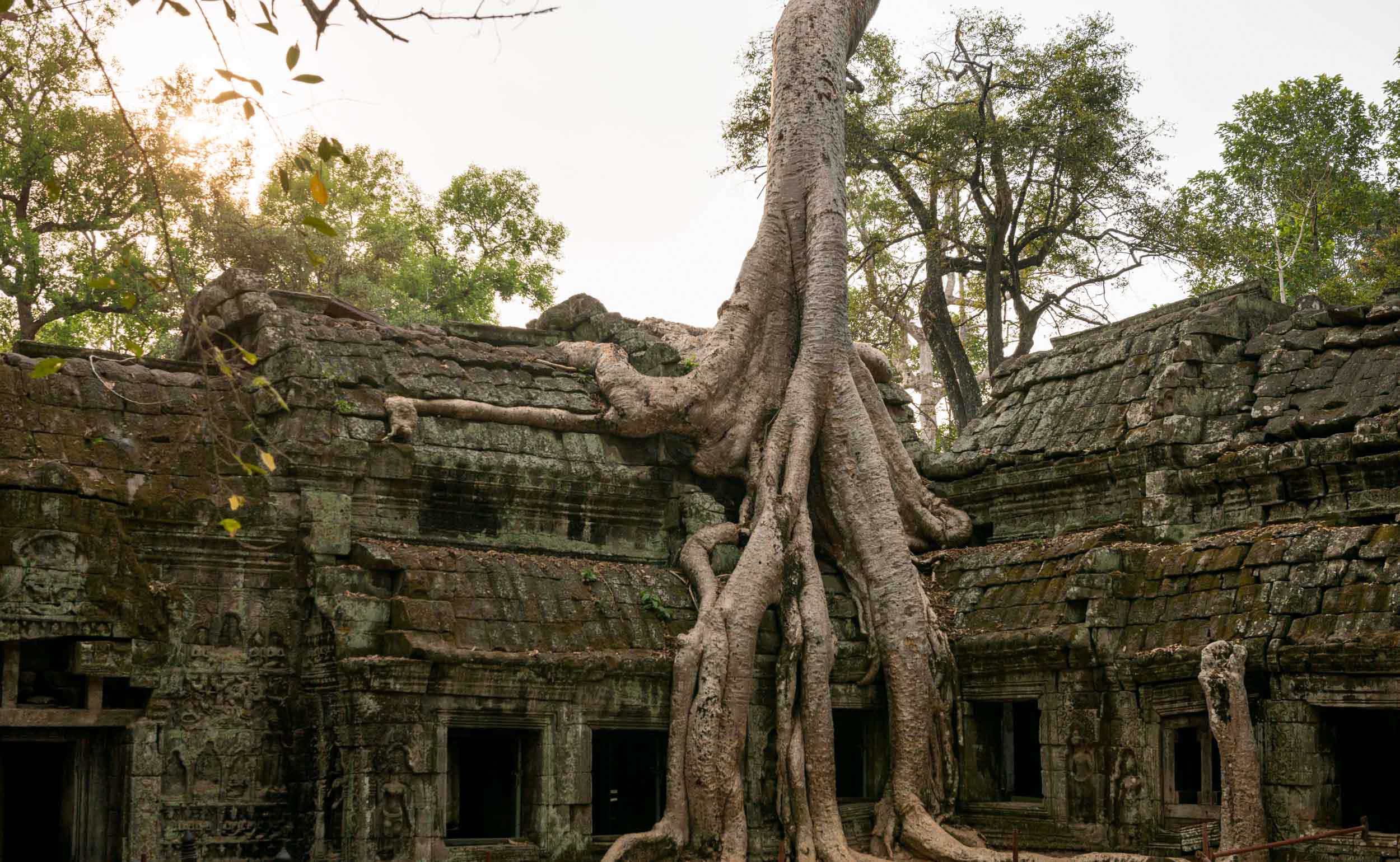 ta-prohm-temple-angkor-siem-reap-cambodia