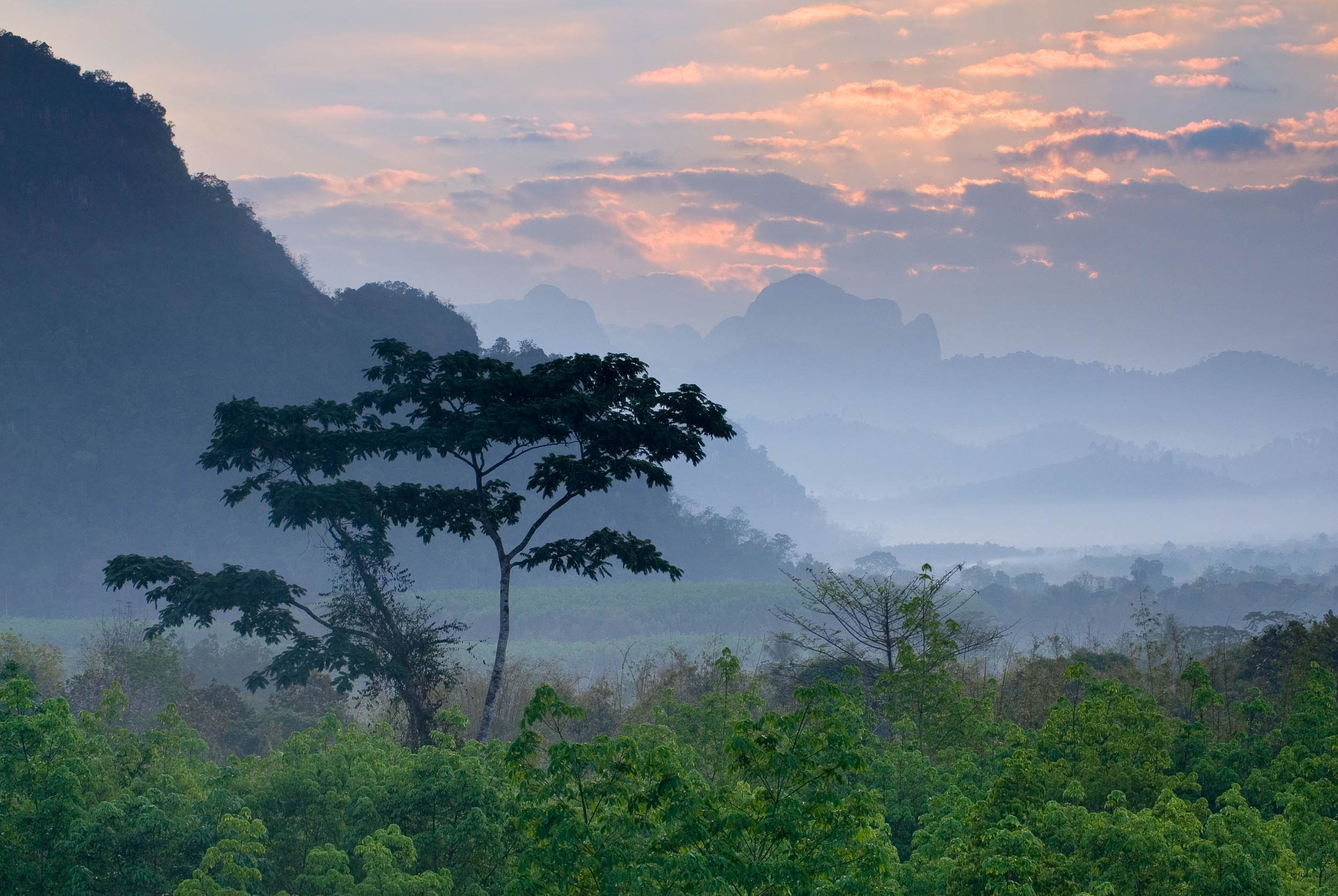 tropical-rainforest-dawn-landscape-photography-khao-sok-surat-thani-thailand-asia