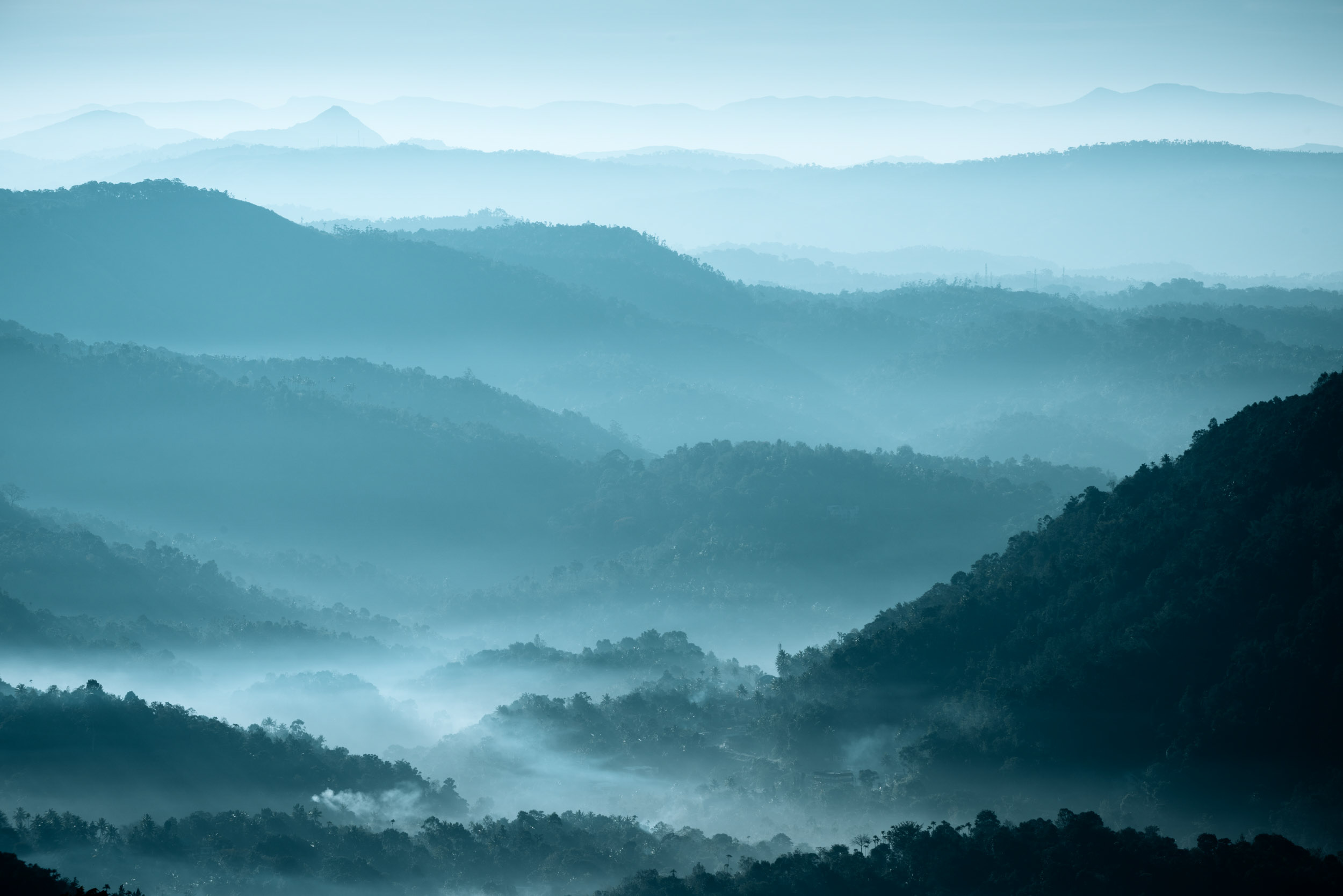 view-mist-landscape-photography-munnar-kerala-india