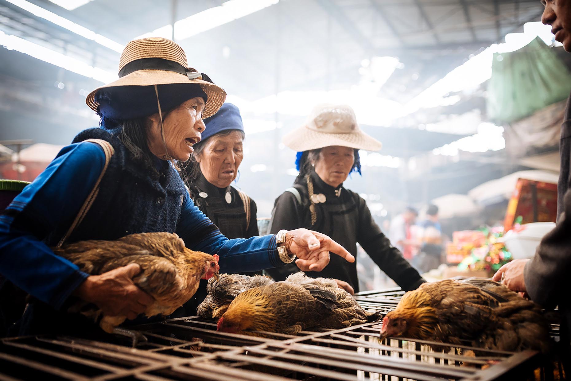 xinjie-rural-market-bartering-chickens-yunnan-china-11